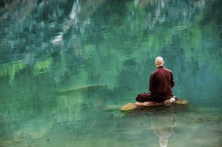 Những nền tảng về quan điểm sinh thái của Thiền tông Phật giáo 